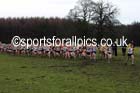 Senior womens Northern Cross Country, Knowsley Safari Park. Photo: David T. Hewitson/Sports for All Pics
